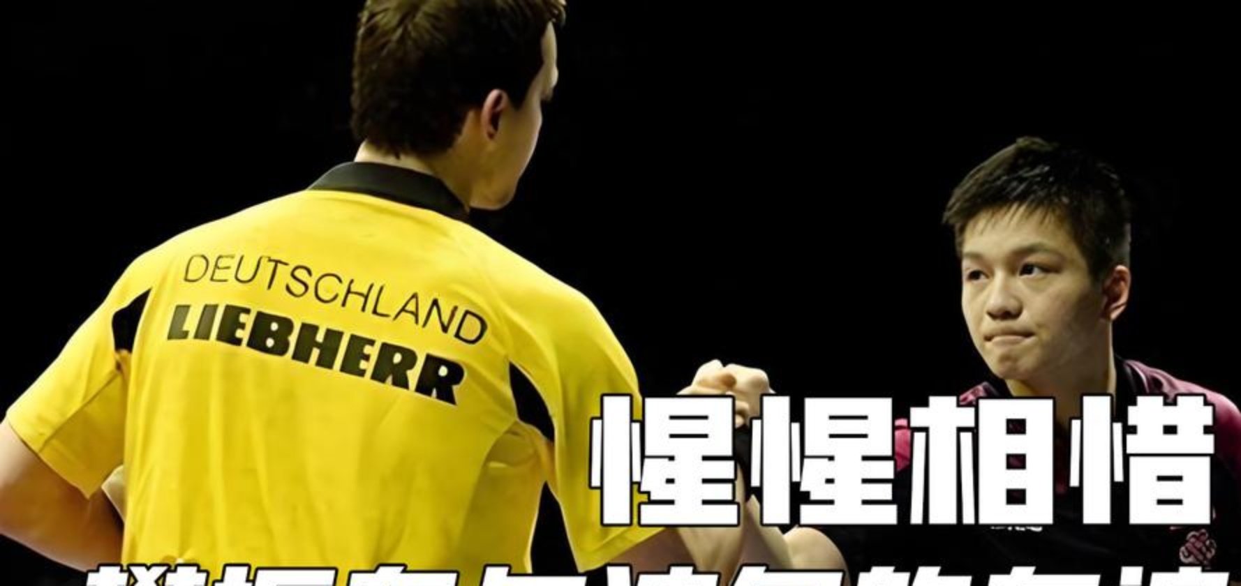 雷速下载-德国队鏖战瑞典队，樊振东状态火热