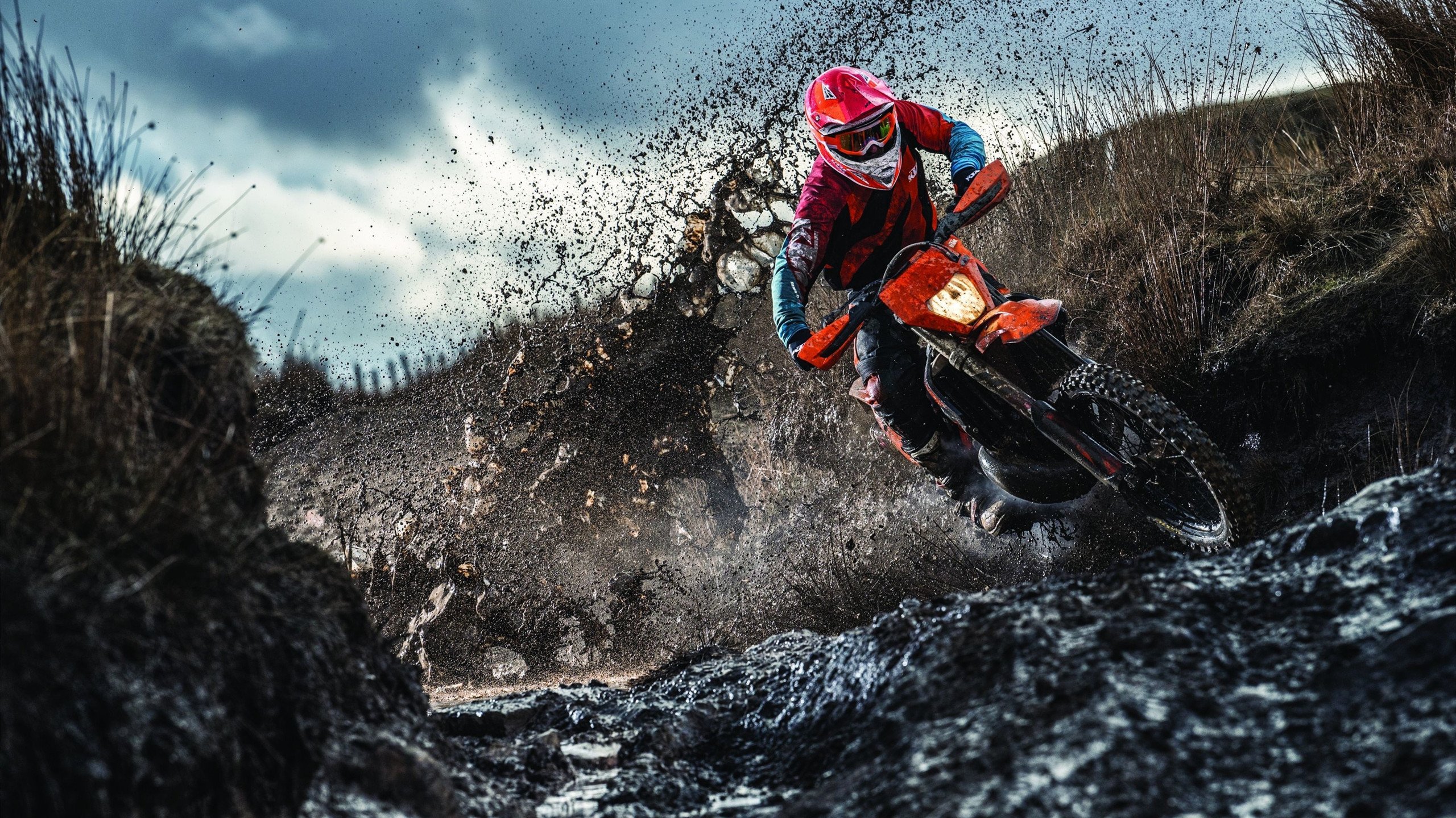 当奇才冲垮开拓者，哈利伯顿在欧冠半决赛的接管艺术